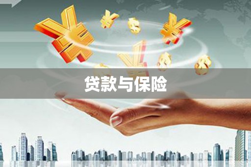 大武贷款与保险