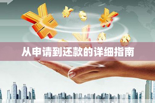 大武从申请到还款的详细指南
