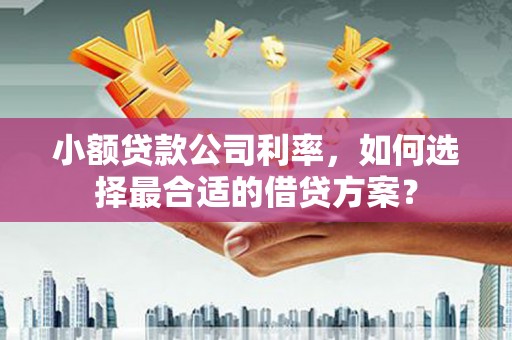 大武小额贷款公司利率，如何选择最合适的借贷方案？