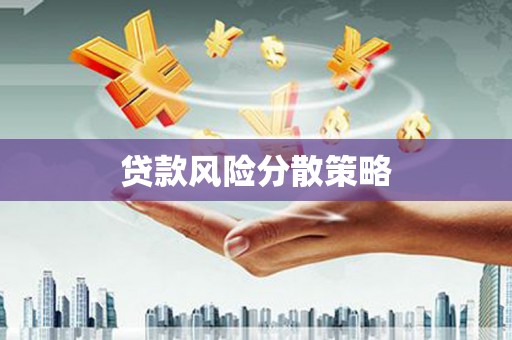 大武贷款风险分散策略