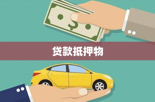 大武贷款抵押物