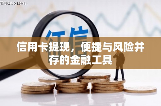 大武信用卡提现，便捷与风险并存的金融工具