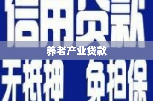 大武养老产业贷款