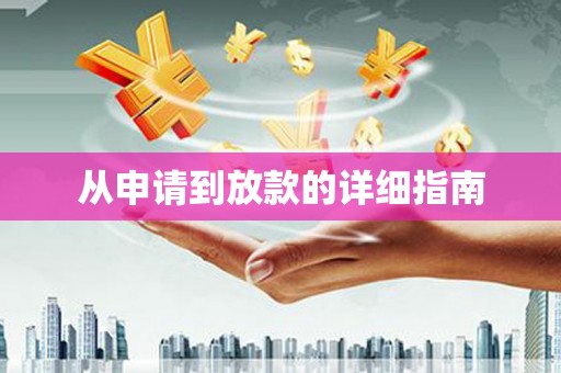 大武从申请到放款的详细指南