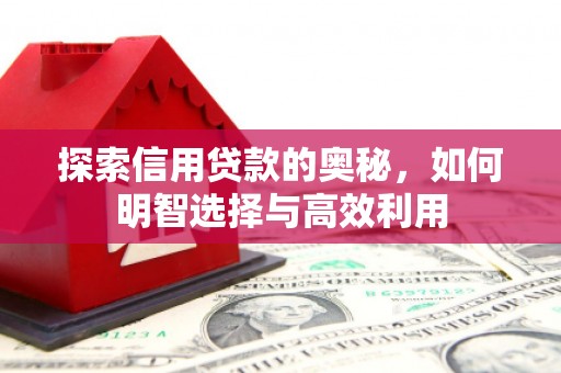 大武探索信用贷款的奥秘，如何明智选择与高效利用