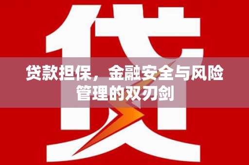 大武贷款担保，金融安全与风险管理的双刃剑