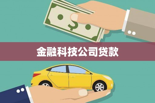 大武金融科技公司贷款