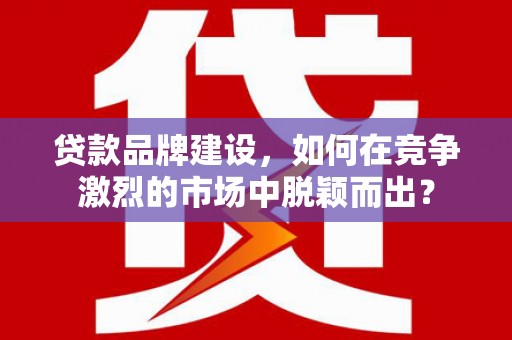 大武贷款品牌建设，如何在竞争激烈的市场中脱颖而出？