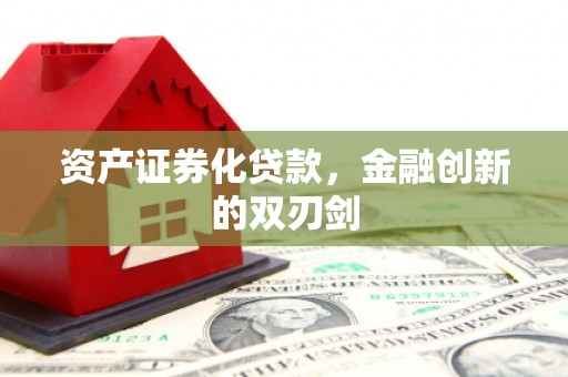 大武资产证券化贷款，金融创新的双刃剑