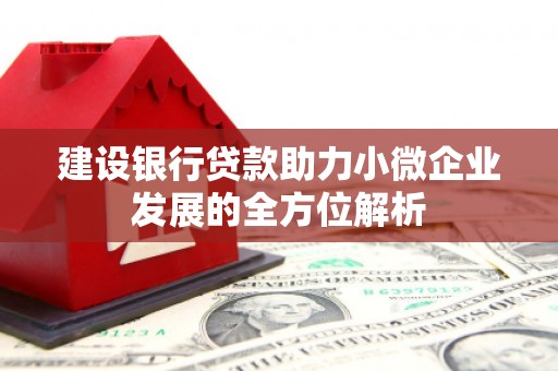 大武建设银行贷款助力小微企业发展的全方位解析