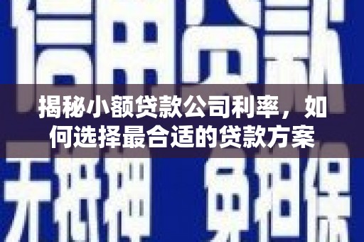 大武揭秘小额贷款公司利率，如何选择最合适的贷款方案