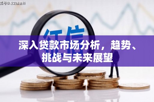 大武深入贷款市场分析，趋势、挑战与未来展望