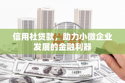 大武信用社贷款，助力小微企业发展的金融利器