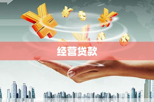 大武经营贷款