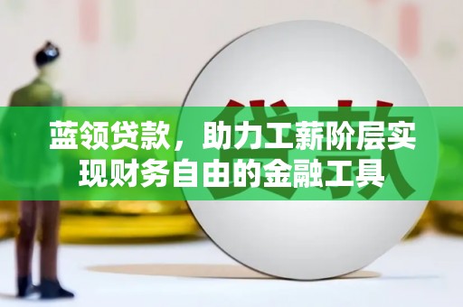 大武蓝领贷款，助力工薪阶层实现财务自由的金融工具