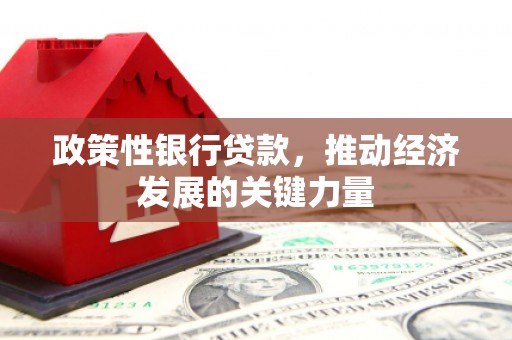 大武政策性银行贷款，推动经济发展的关键力量