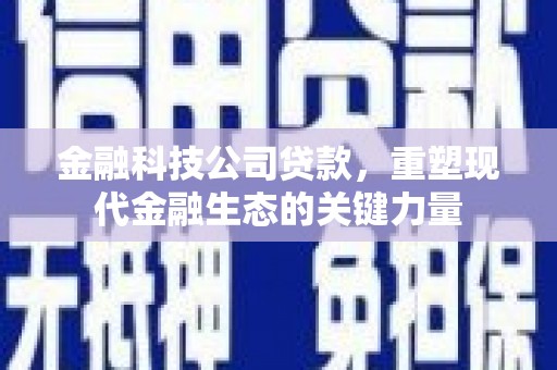 大武金融科技公司贷款，重塑现代金融生态的关键力量