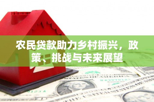 大武农民贷款助力乡村振兴，政策、挑战与未来展望