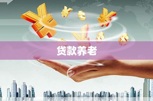 大武贷款养老
