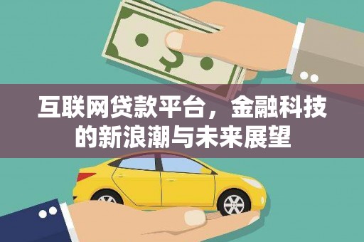 大武互联网贷款平台，金融科技的新浪潮与未来展望