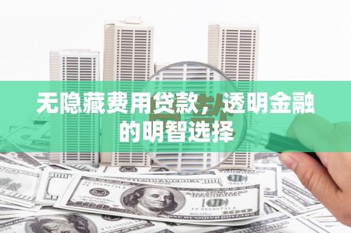 大武无隐藏费用贷款，透明金融的明智选择