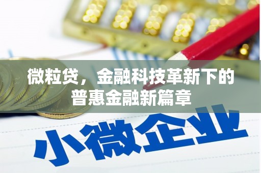 大武微粒贷，金融科技革新下的普惠金融新篇章