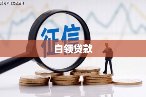 大武白领贷款