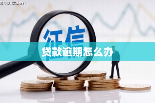 大武贷款逾期怎么办