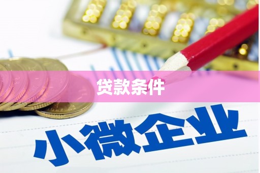 大武贷款条件