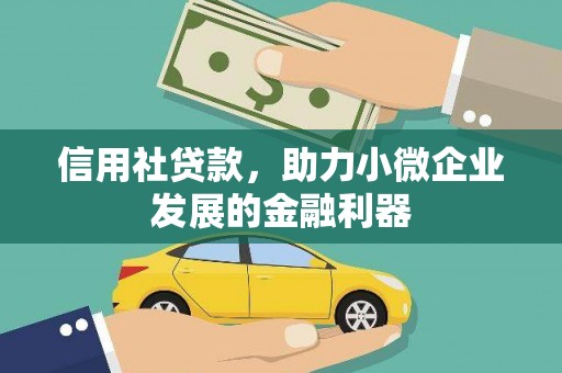大武信用社贷款，助力小微企业发展的金融利器