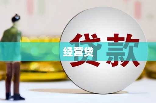 大武经营贷