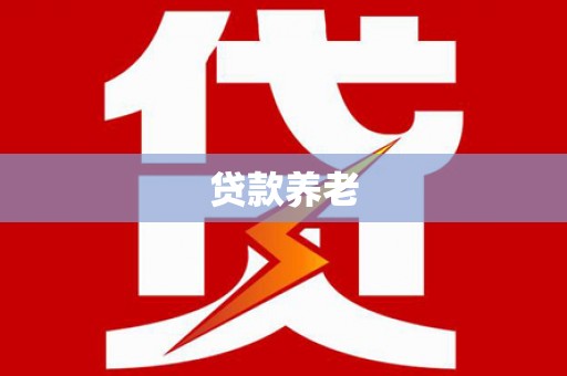 大武贷款养老
