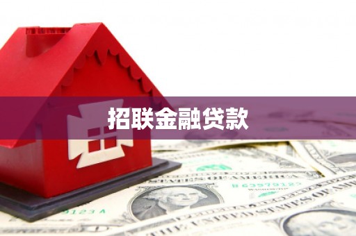 大武招联金融贷款