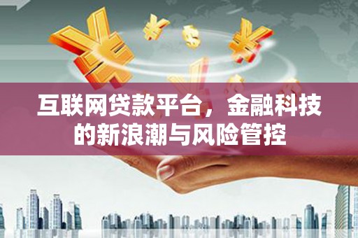 大武互联网贷款平台，金融科技的新浪潮与风险管控