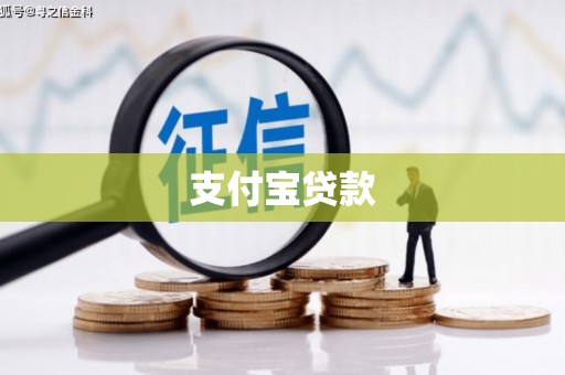大武支付宝贷款