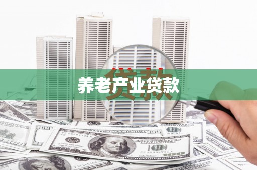 大武养老产业贷款