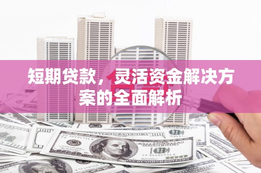 大武短期贷款，灵活资金解决方案的全面解析