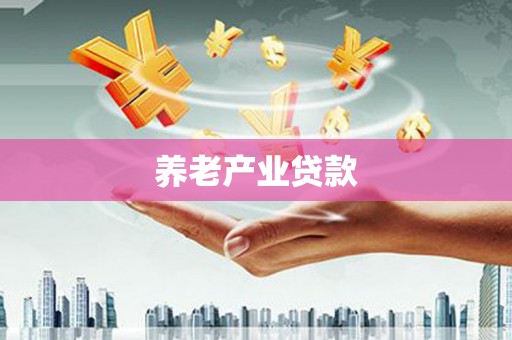 大武养老产业贷款