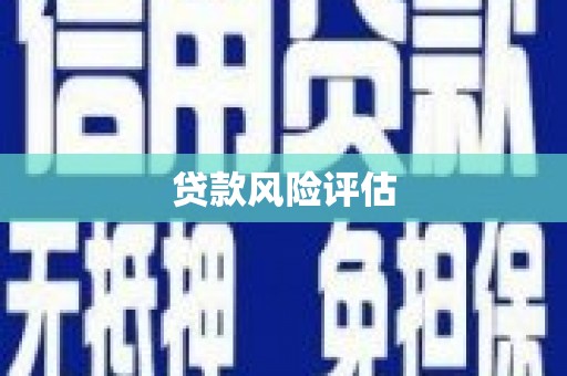 大武贷款风险评估