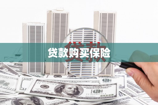 大武贷款购买保险