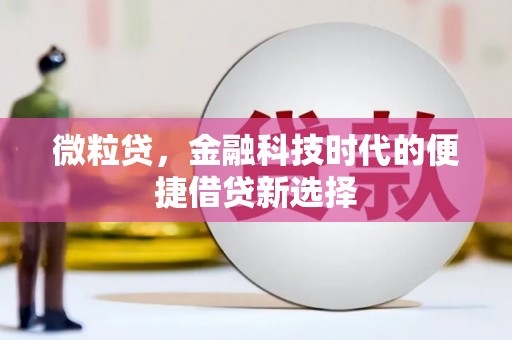 大武微粒贷，金融科技时代的便捷借贷新选择