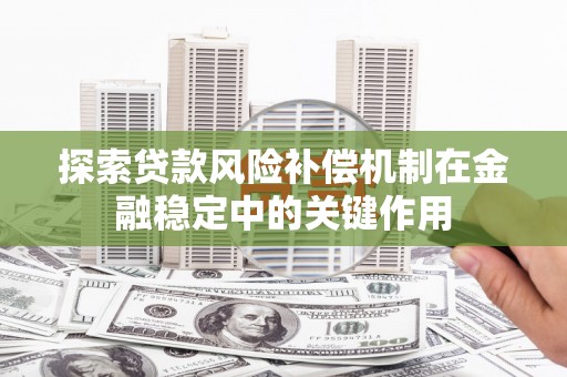 大武探索贷款风险补偿机制在金融稳定中的关键作用