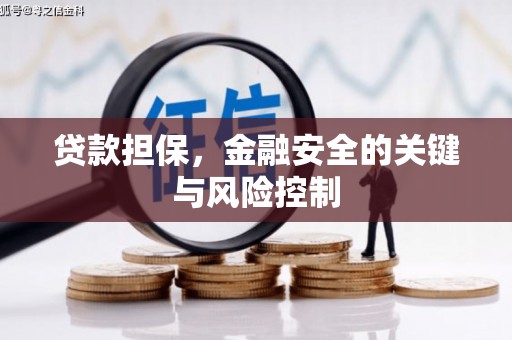 大武贷款担保，金融安全的关键与风险控制