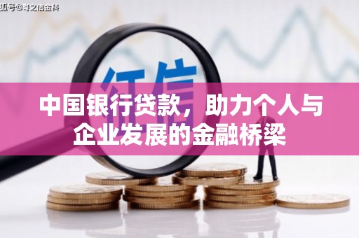 大武中国银行贷款，助力个人与企业发展的金融桥梁
