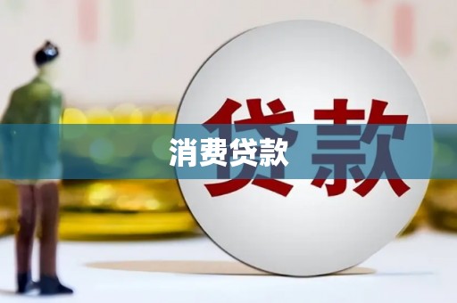 大武消费贷款