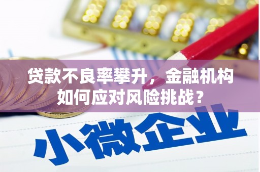 大武贷款不良率攀升，金融机构如何应对风险挑战？