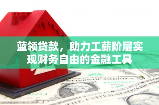 大武蓝领贷款，助力工薪阶层实现财务自由的金融工具