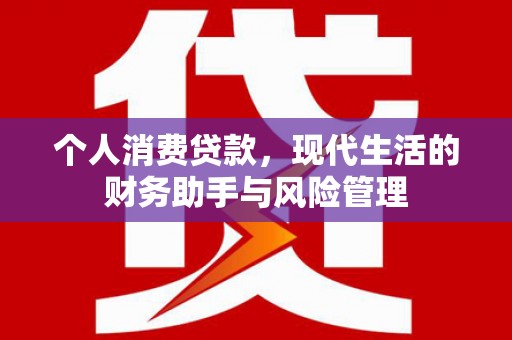 大武个人消费贷款，现代生活的财务助手与风险管理