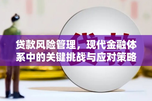 大武贷款风险管理，现代金融体系中的关键挑战与应对策略