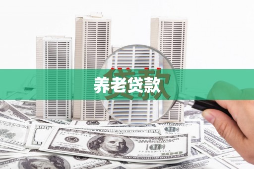 大武养老贷款
